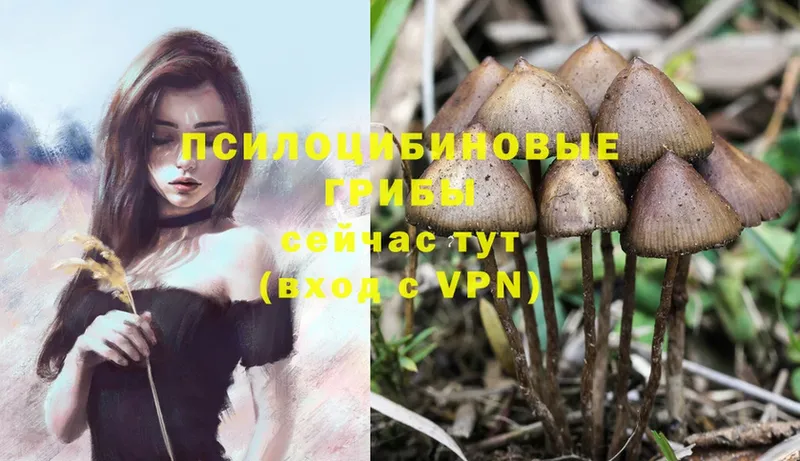 Галлюциногенные грибы MAGIC MUSHROOMS  мега ССЫЛКА  Лермонтов 